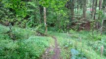  Blick auf die Wanderstrecke 